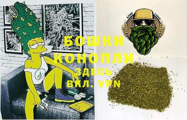 ПСИЛОЦИБИНОВЫЕ ГРИБЫ Новодвинск