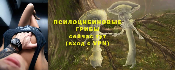 кристаллы Новозыбков