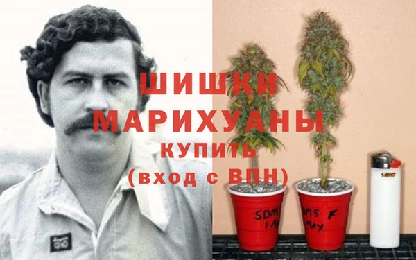 ПСИЛОЦИБИНОВЫЕ ГРИБЫ Новодвинск