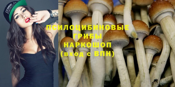 spice Болохово